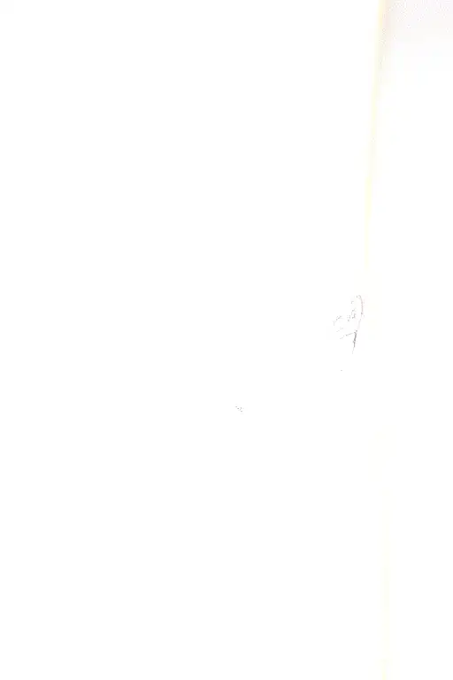 Fairy Wings With Moon And Stars Surrounding