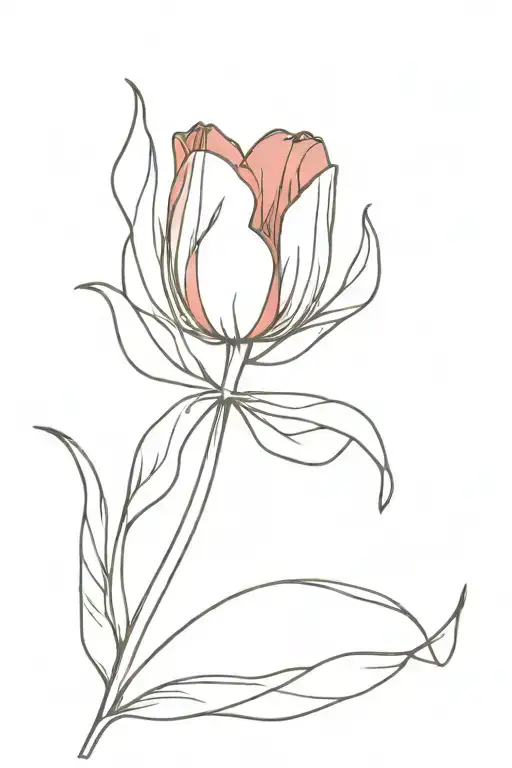 A Red Tulip With A Sprig Of Leaves Wrapped In A Dark Piece Of Paper With A Ribbon