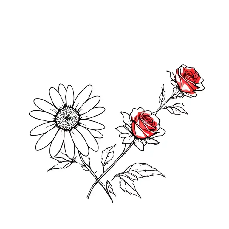 Daisy Flower And Red Rose