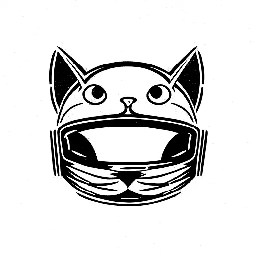Cat In A Helmet