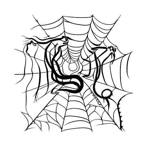 Snake With Spider And Barbed Wire