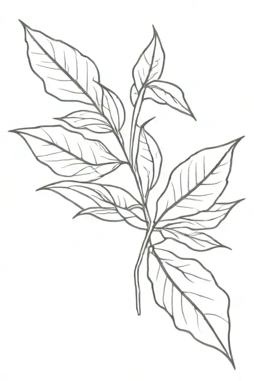 Plant Leaves