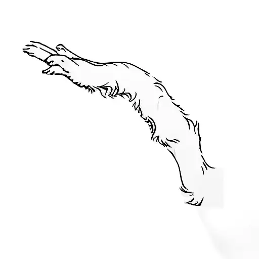 A Hand Reaching Out To A Dog