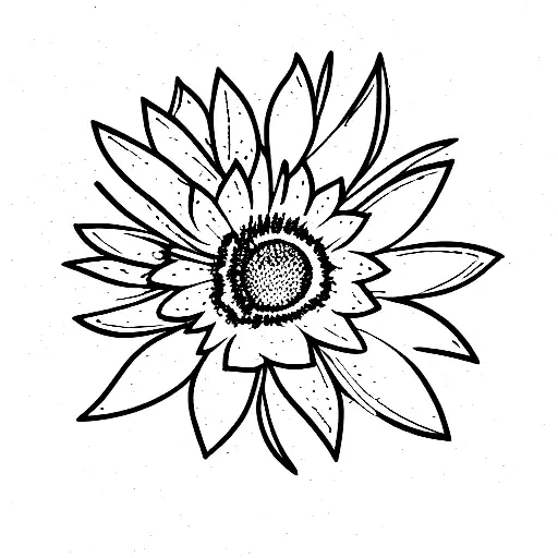 You Are Enough Quote With Calendula Flower