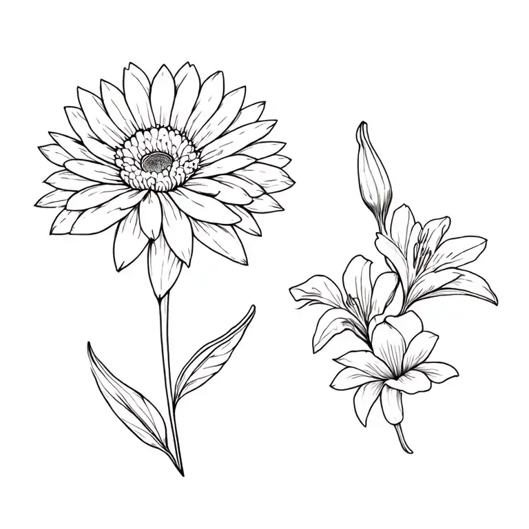 Chrysanthemum And Gladiolus