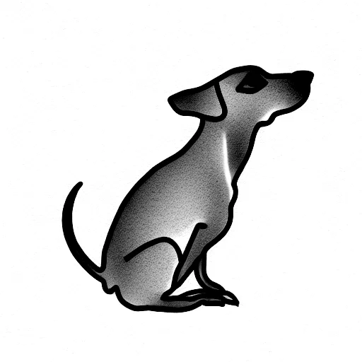 Italian Greyhound