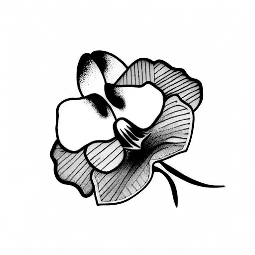 Sable With And Orchid