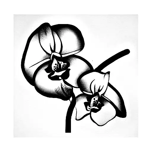 Sable Sword With And Orchid