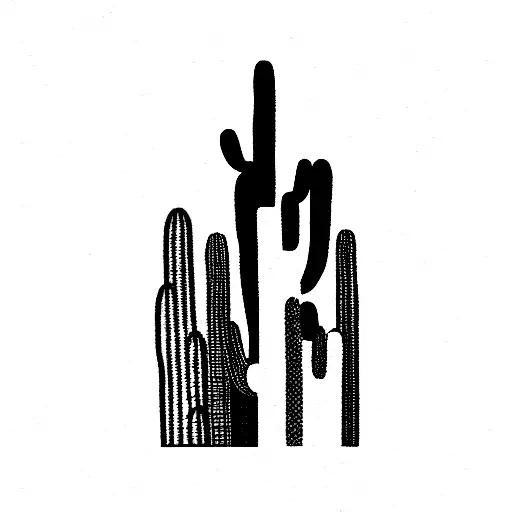 Cactus With Mountians