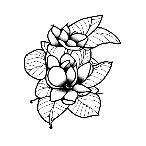 Dog With Magnolia Leaf Or Flower