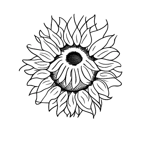 Sunflower With Alphabet P In It