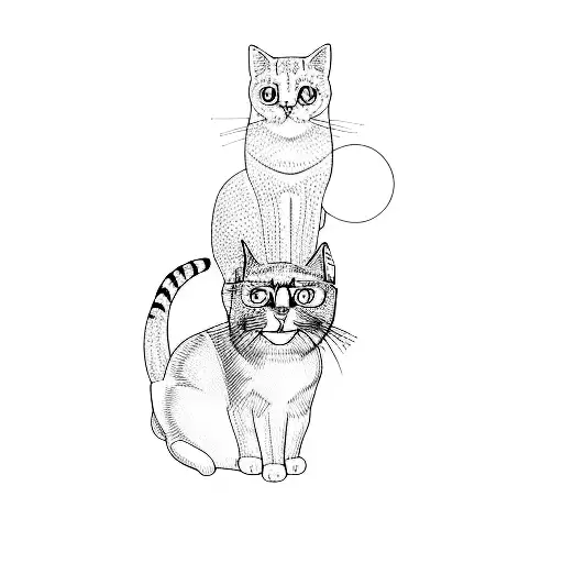 Two Cats On A Black Background