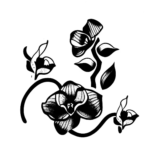 Picture With Black Orchids