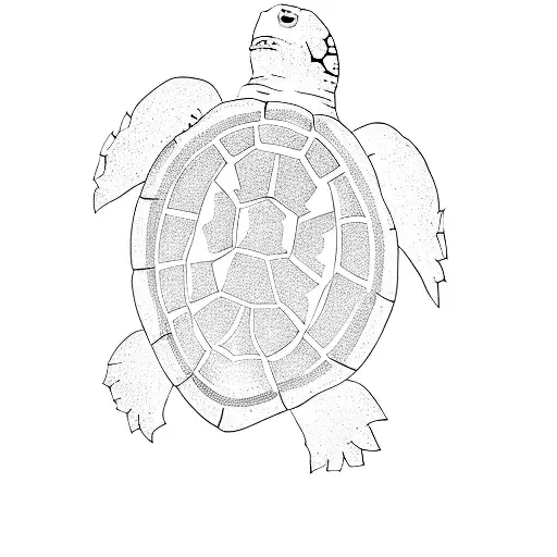 Add Around The Turtle Water Splashes And Minimalistic Druid Symbol From World Of Warcraft