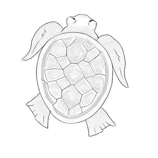 Add Around The Turtle Water Splashes And Minimalistic Druid Symbol From World Of Warcraft