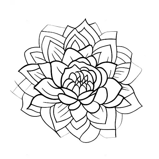 Black Abstract Lines And White Water Lily