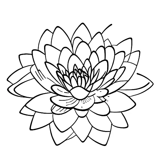 Black Abstract Lines With White Water Lily