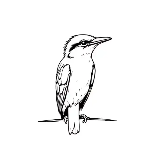 Kookaburra