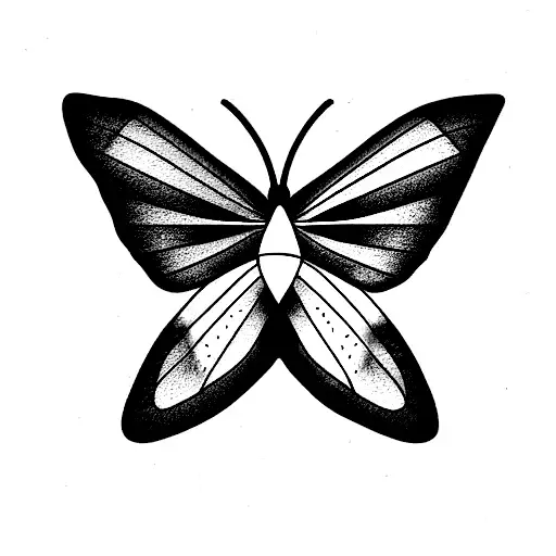 Moth 333