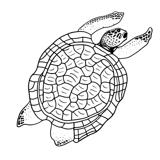 2 Turtles Walking On Beach