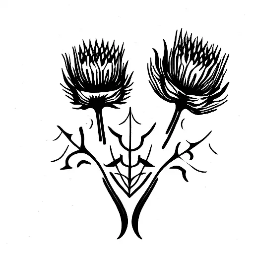Thistles With The Negative Space Outlining The Mcintosh Cat