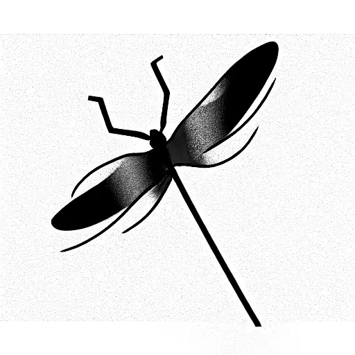 Pink And Blue Dragonfly