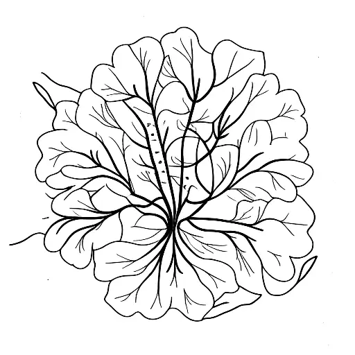 A Minimalist Tattoo Of A Ruta Graveolens Plant In A Scientific Illustration Style