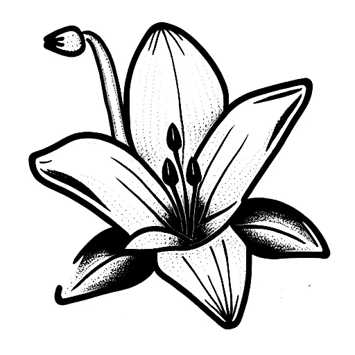 Bosnian Lily With The Number 8372