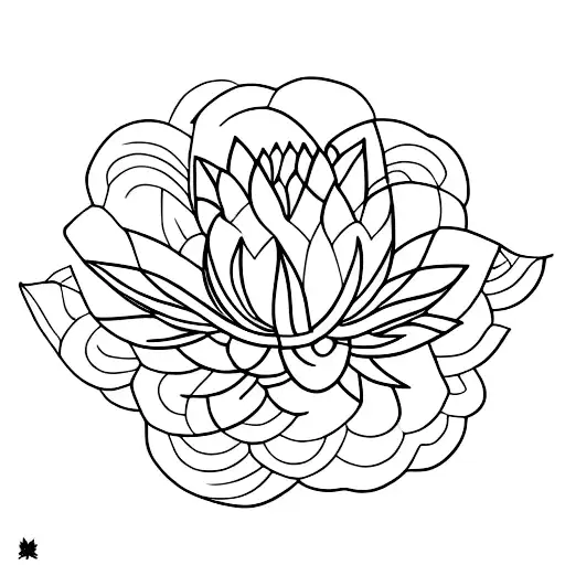 Lotus Flower Inside Mapple Leaf