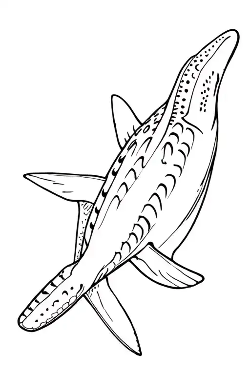 Whale Shark And Turtle