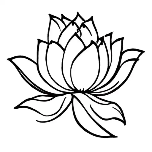 Lotus Flower
