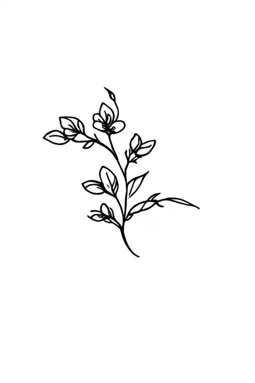 Coffee Flower Branch