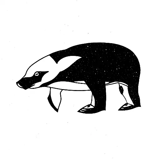 Orcas Arctic Polar Bear Polar Sun