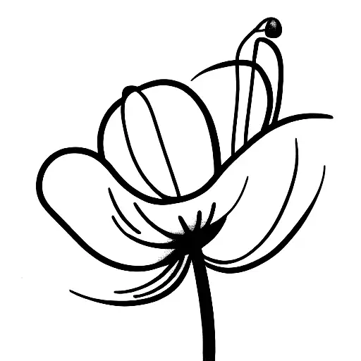 Lily Of The Valley Poppy Violet