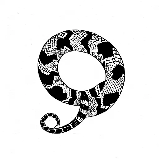 Circular Snake Eating Its Tail