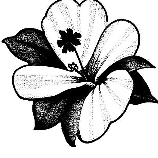 Daisy Flower And A Hibiscus Flower In A Bouquet