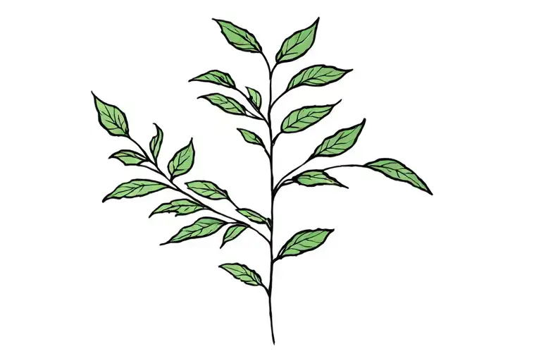 Simple Climbing Plant Cover Up