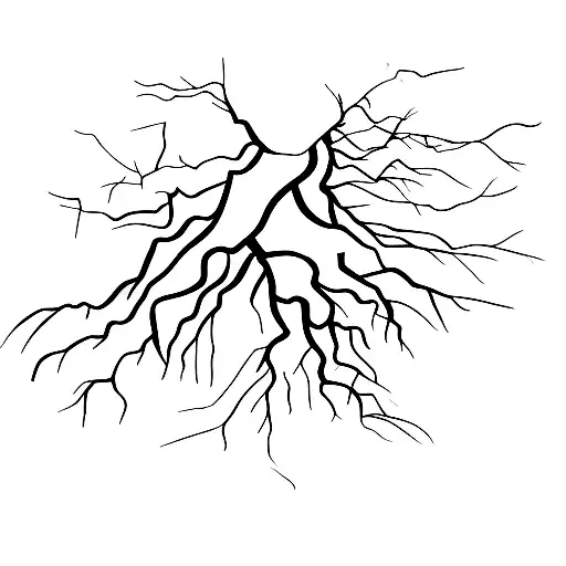 A Tree With Number 33 63 93