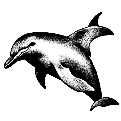 Dolphin With Background