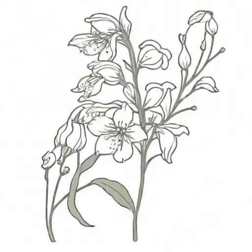 Cosmos Larkspur Lily Of The Valley Flower