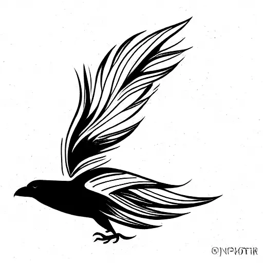 Crow Flying And Loosing Feathers