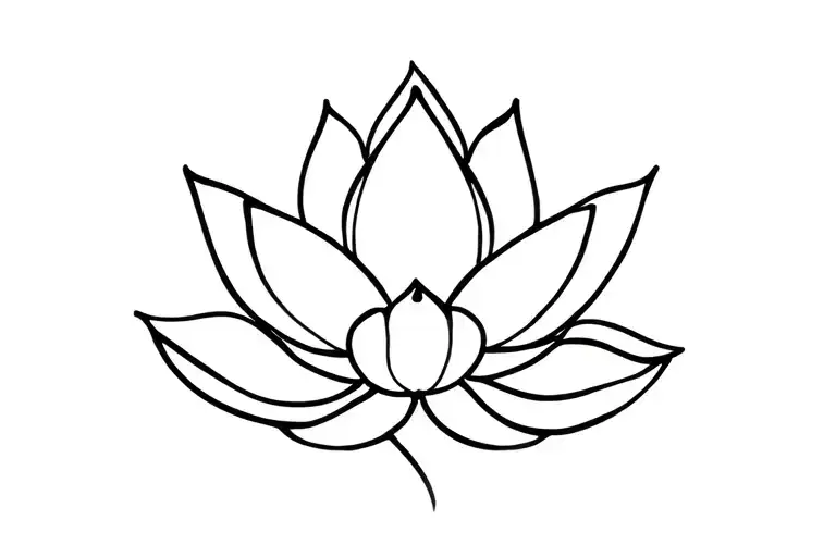Lotus Flower
