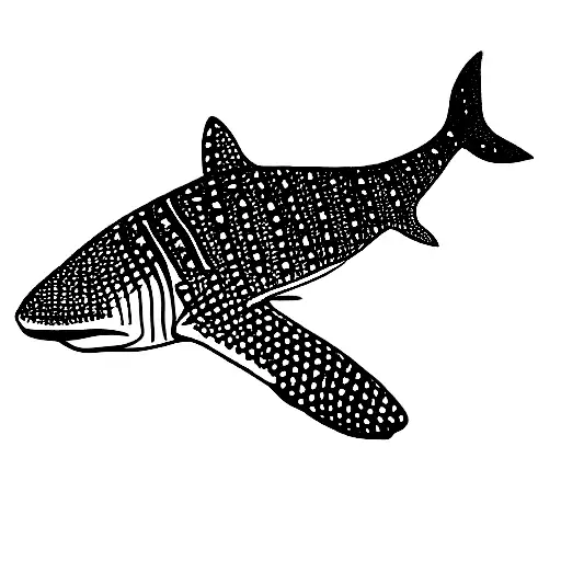 Whale Shark With Olive Branch