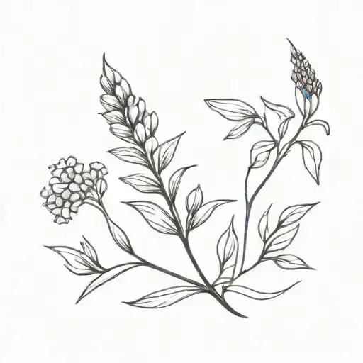 Lavender Black And White