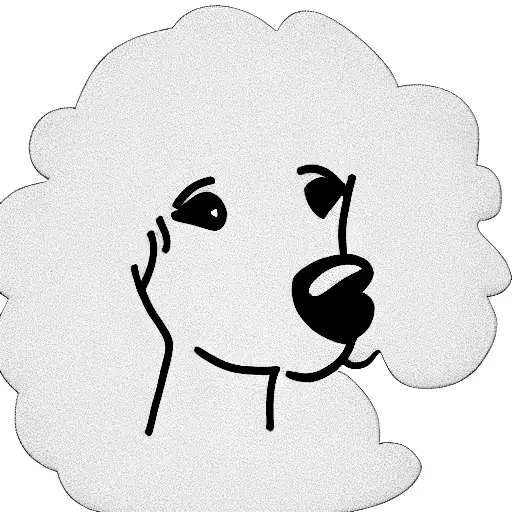 Poodle New Life