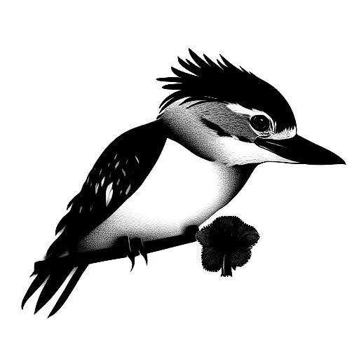 Kookaburra With A Poppy And A Horizon