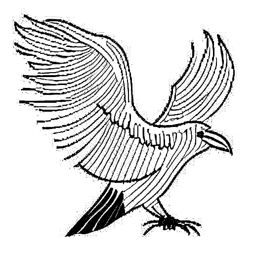 White Raven Spread Its Wings View From The Back