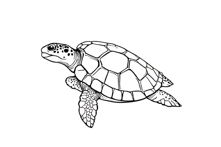 Sea Turtle