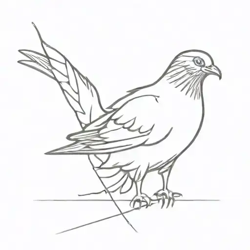 Pigeon Sitting On A Line