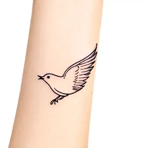 Swallow Bird With A C